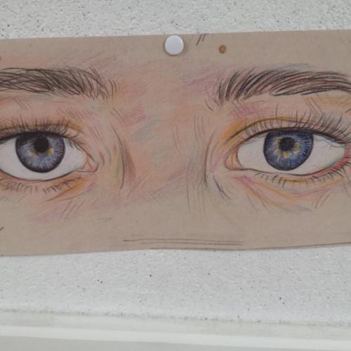 Augen