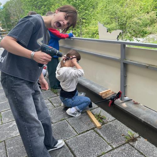 Zaungestaltung Betriebspraktikum