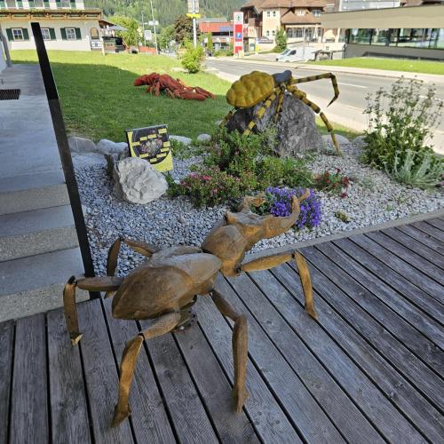 Wunderkammer Insekten