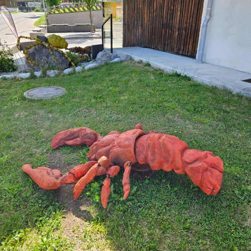 Wunderkammer Insekten