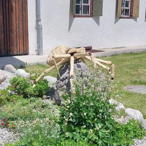 Wunderkammer Insekten Falger