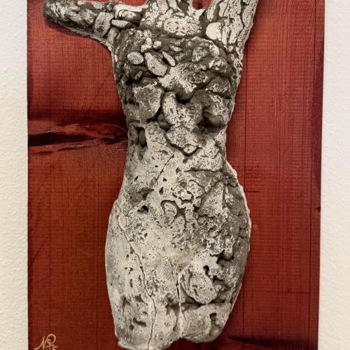Torso
