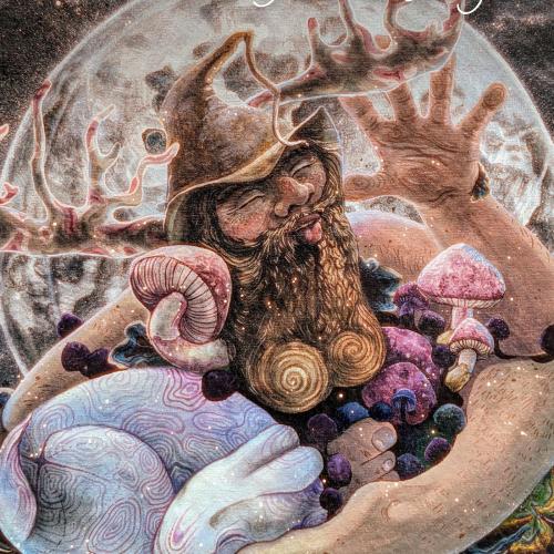 Absolventin Julia Großberger