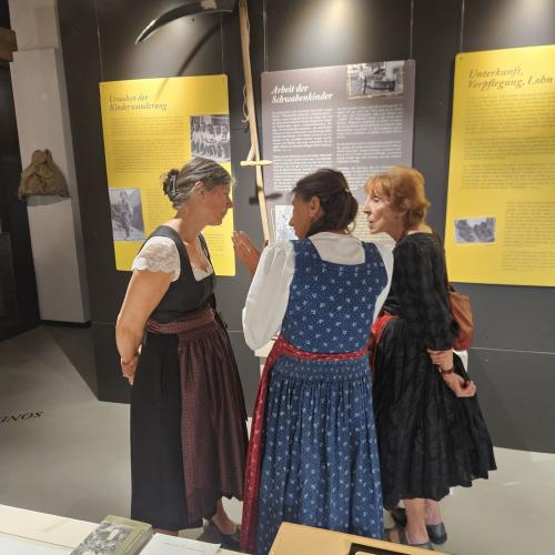 Ausstellung Wunderkammer