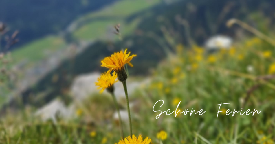 Schöne Ferien